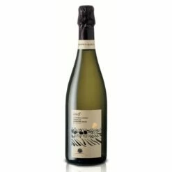 Prosecco Di Conegliano - Ario Extra Dry 2022
